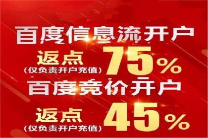 SEM托管服务案例：优化策略与效果展示
